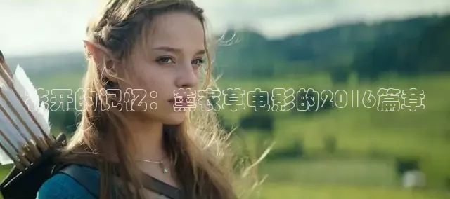 花开的记忆：薰衣草电影的2016篇章